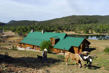 USA-Arizona-Cattle Ranch in Pleasant Valley